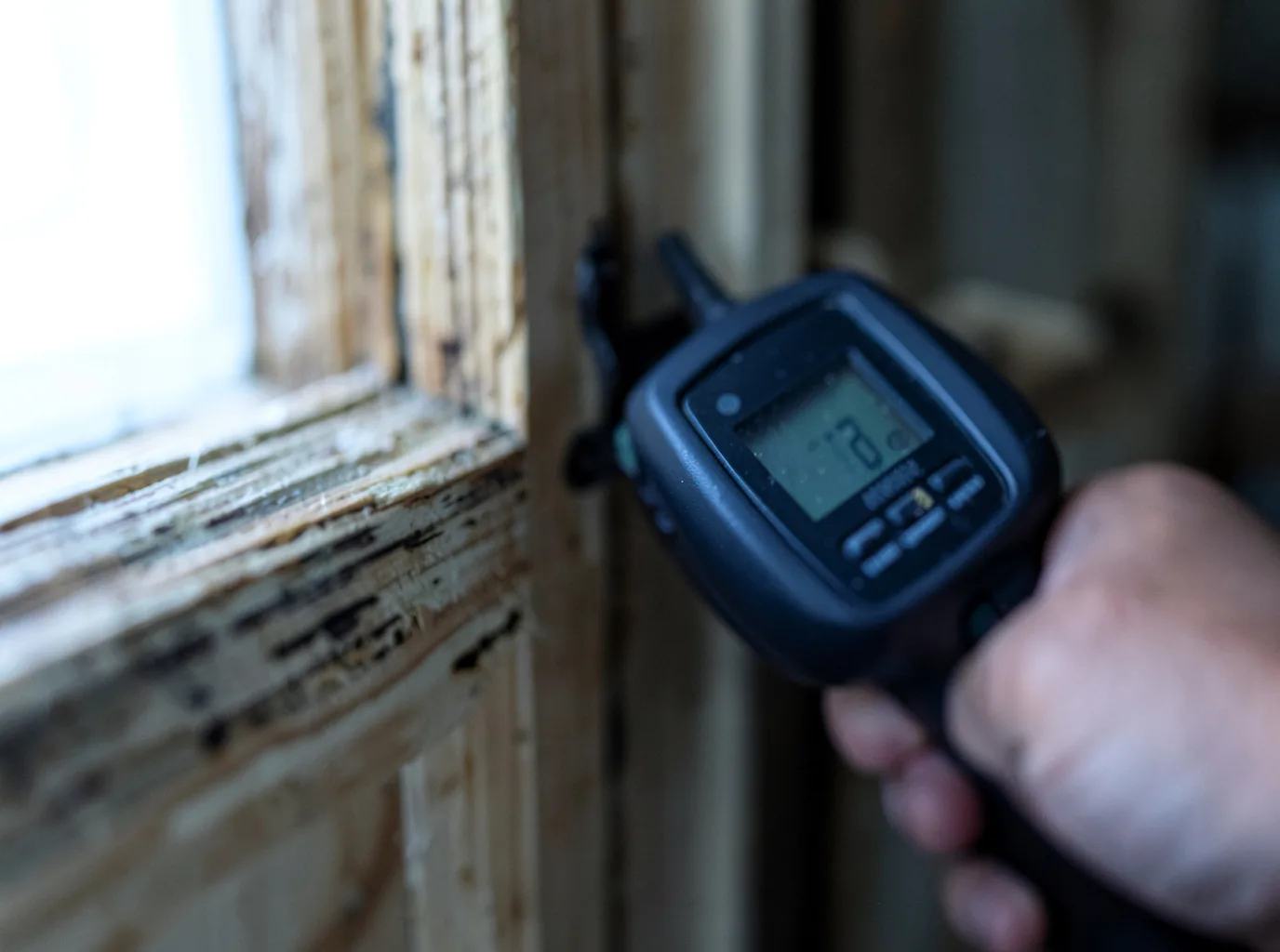 Water Damage Restoration Everson, WA FAQs